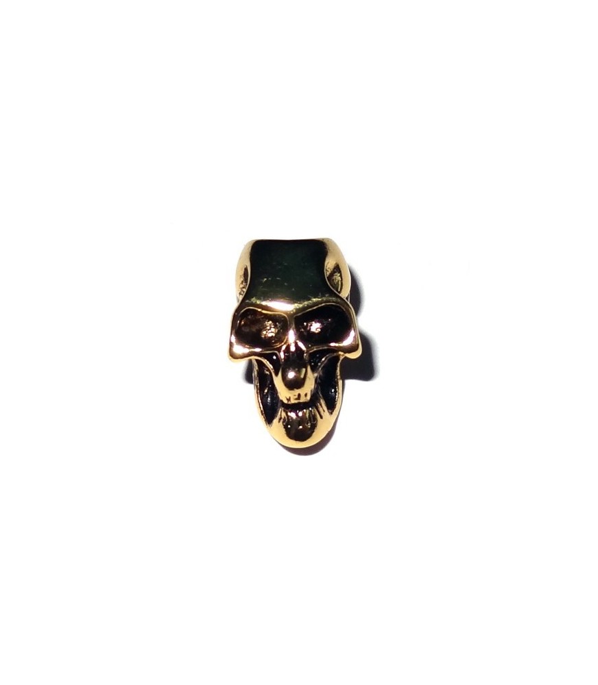 Skull | Vertical Hole Skull | Vertical Hole
